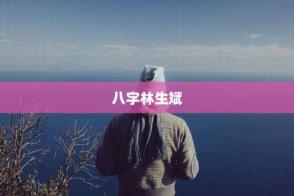 八字林生斌