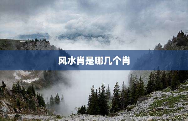 风水肖是哪几个肖