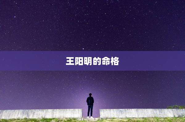 王阳明的命格