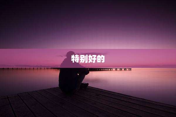 特别好的
