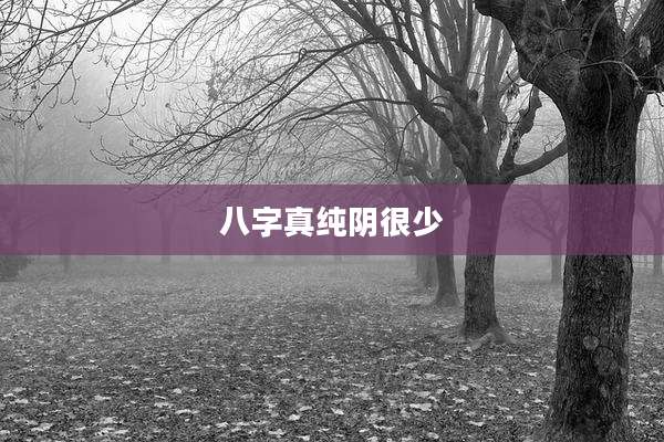 八字真纯阴很少