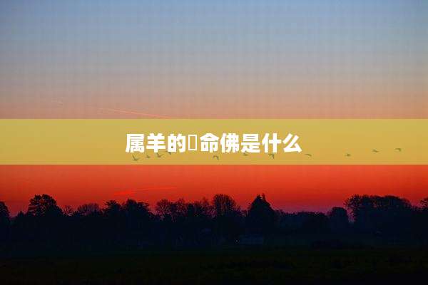 属羊的夲命佛是什么