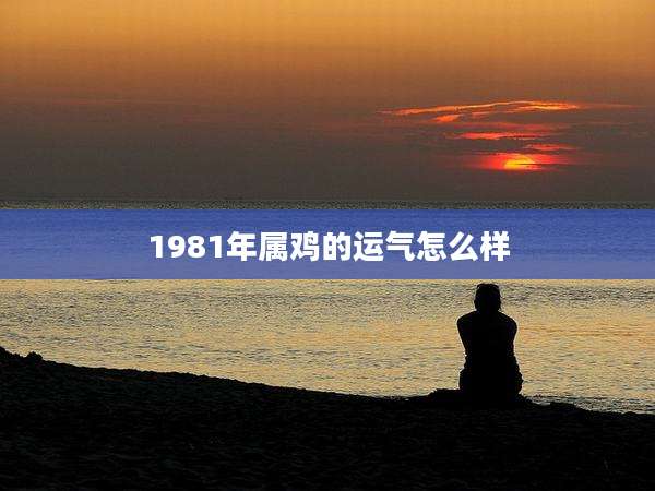 1981年属鸡的运气怎么样