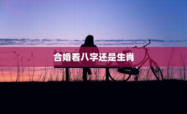 合婚看八字还是生肖