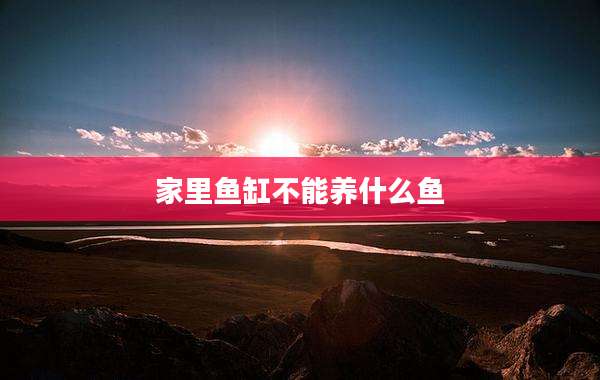 家里鱼缸不能养什么鱼