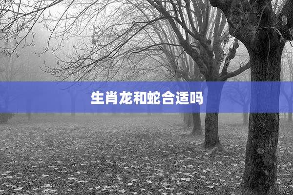 生肖龙和蛇合适吗