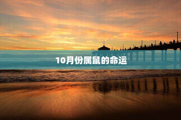 10月份属鼠的命运
