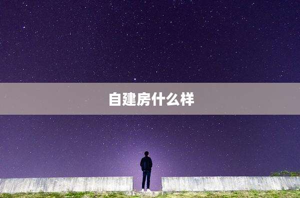 自建房什么样