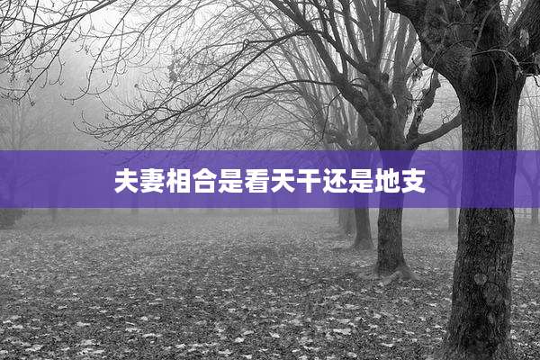 夫妻相合是看天干还是地支