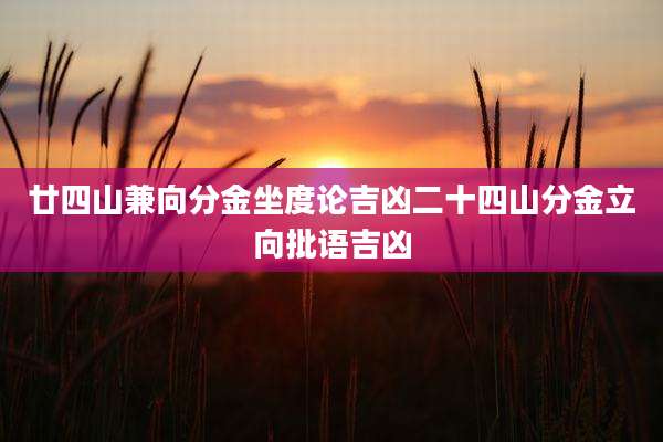 廿四山兼向分金坐度论吉凶二十四山分金立向批语吉凶