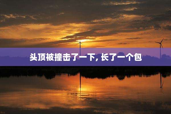 头顶被撞击了一下, 长了一个包