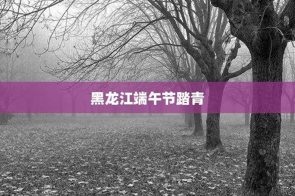 黑龙江端午节踏青