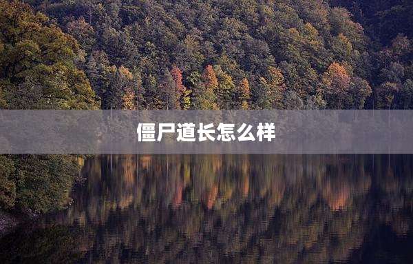僵尸道长怎么样