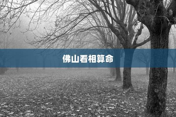 佛山看相算命