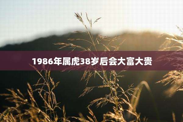 1986年属虎38岁后会大富大贵