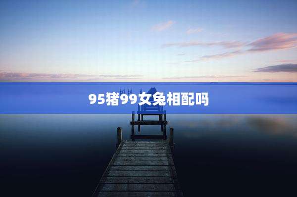 95猪99女兔相配吗