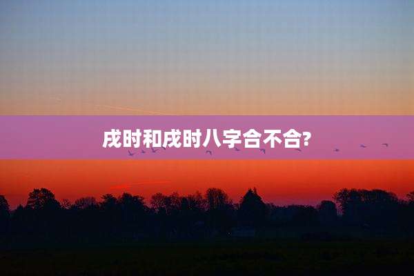 戌时和戌时八字合不合?