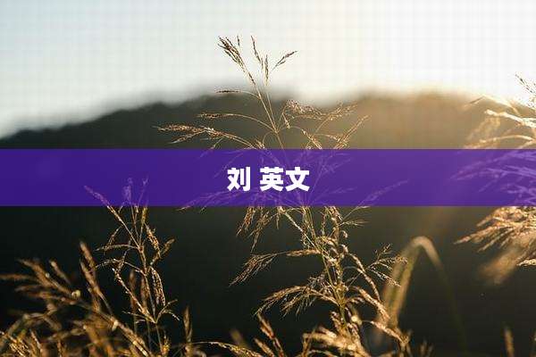 刘 英文