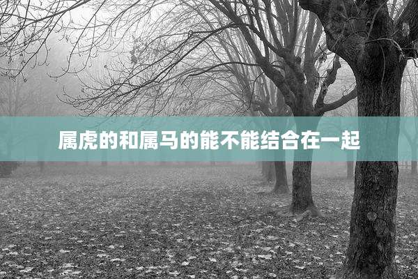 属虎的和属马的能不能结合在一起