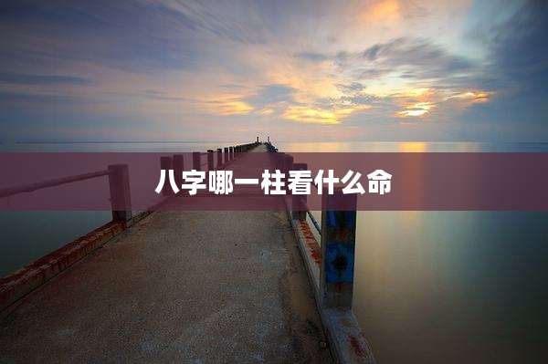 八字哪一柱看什么命