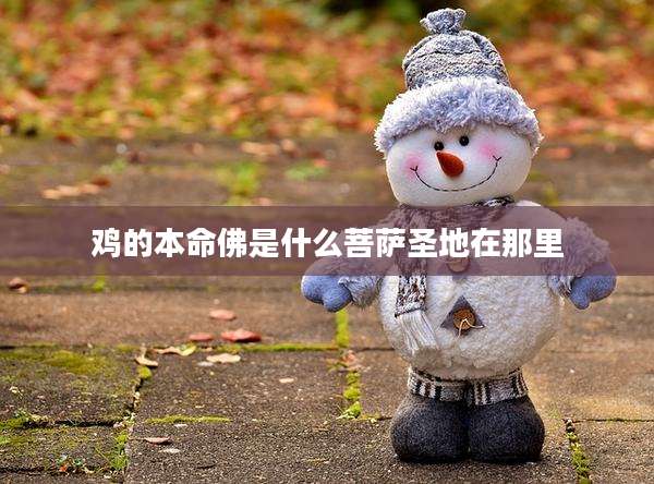 鸡的本命佛是什么菩萨圣地在那里