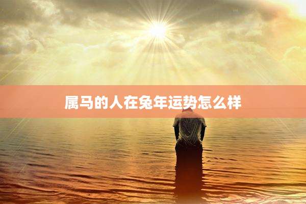 属马的人在兔年运势怎么样