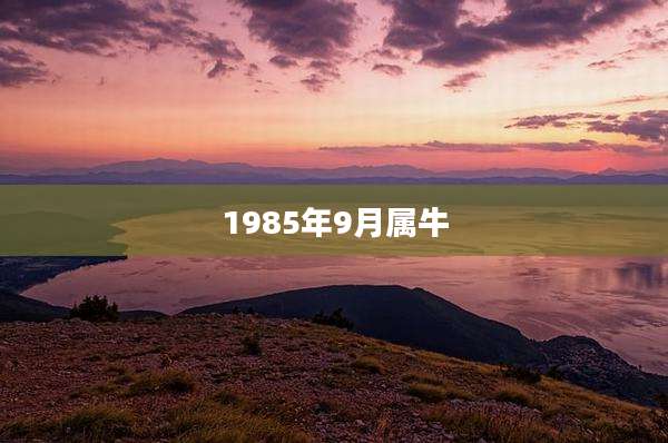 1985年9月属牛