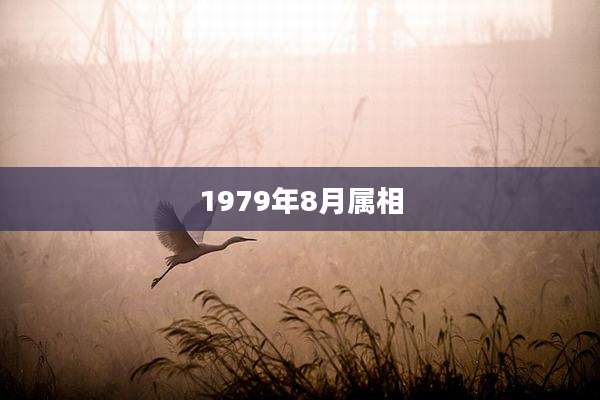 1979年8月属相