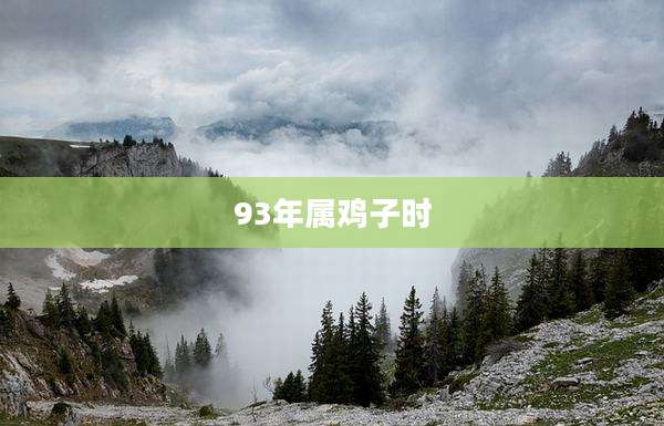 93年属鸡子时