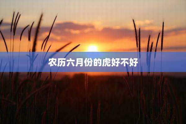 农历六月份的虎好不好