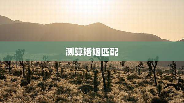 测算婚姻匹配