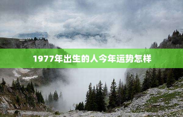 1977年出生的人今年运势怎样