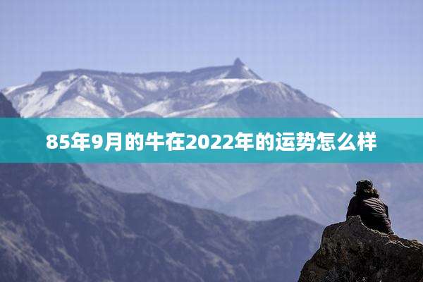 85年9月的牛在2022年的运势怎么样