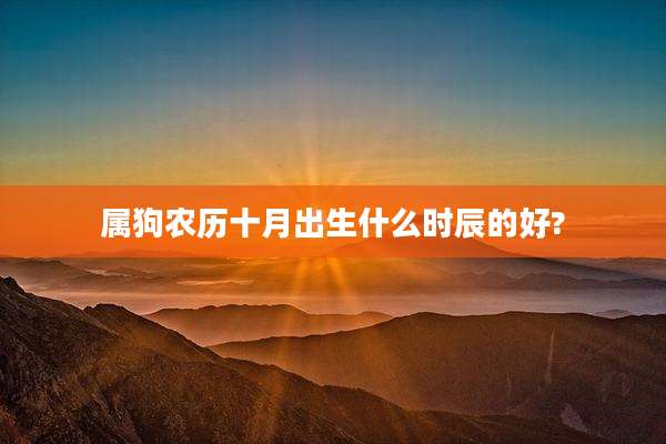 属狗农历十月出生什么时辰的好?