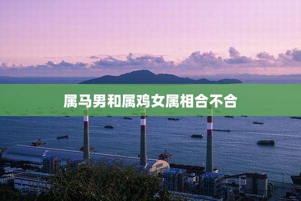 属马男和属鸡女属相合不合