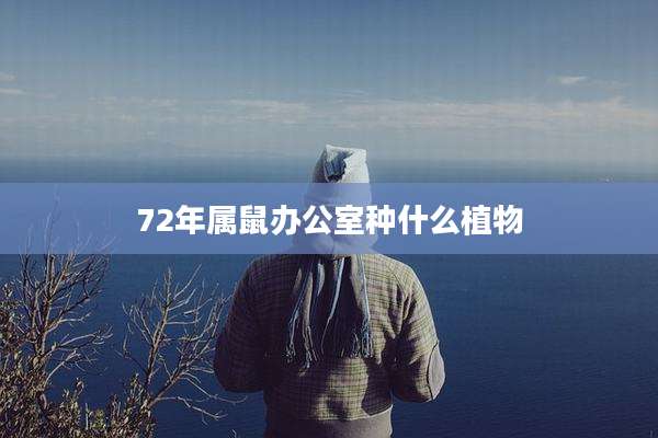 72年属鼠办公室种什么植物