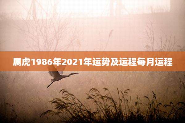 属虎1986年2021年运势及运程每月运程