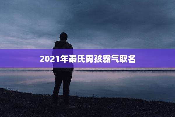 2021年秦氏男孩霸气取名