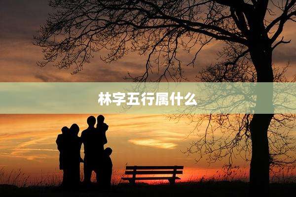 林字五行属什么