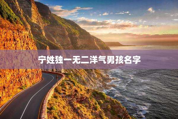 宁姓独一无二洋气男孩名字