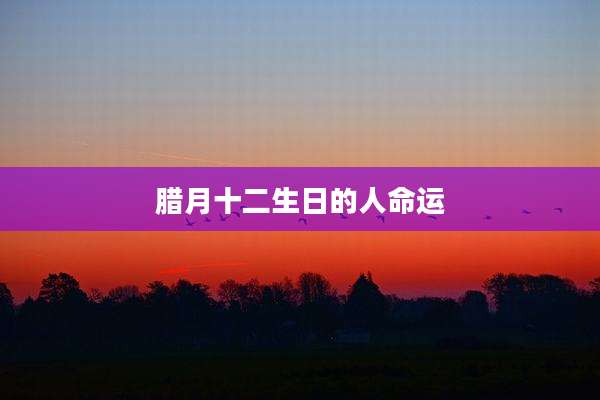 腊月十二生日的人命运