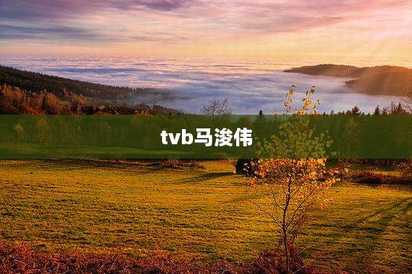tvb马浚伟