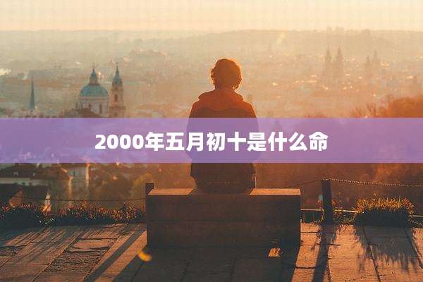 2000年五月初十是什么命