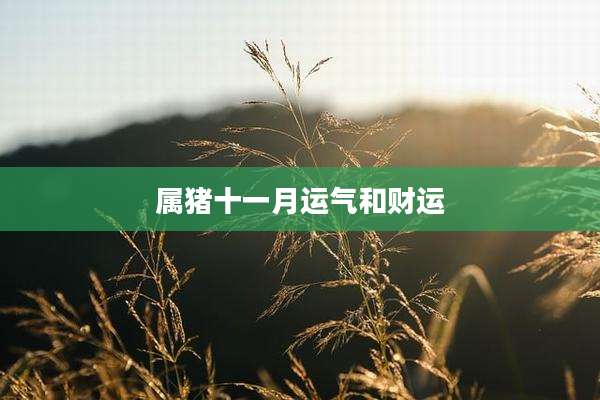 属猪十一月运气和财运