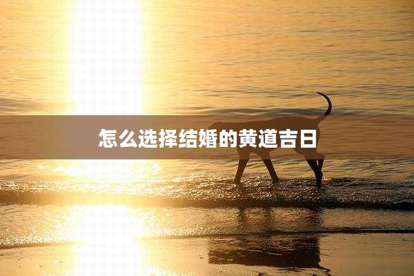 怎么选择结婚的黄道吉日