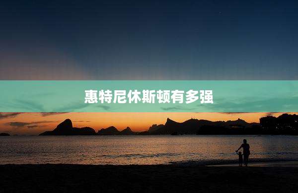 惠特尼休斯顿有多强