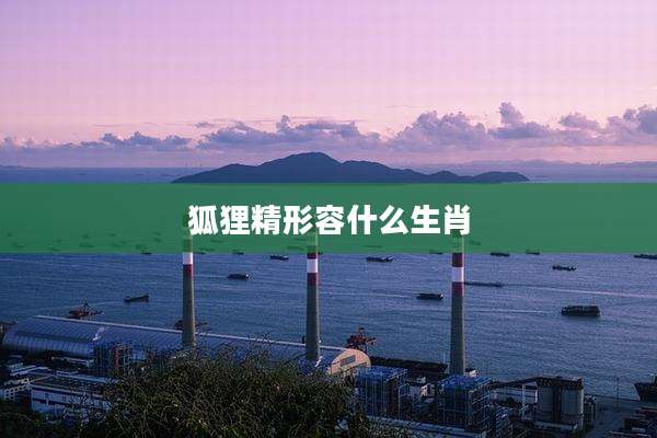 狐狸精形容什么生肖