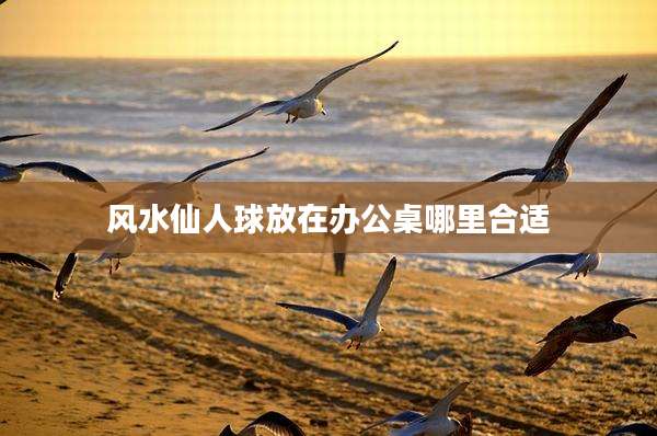 风水仙人球放在办公桌哪里合适
