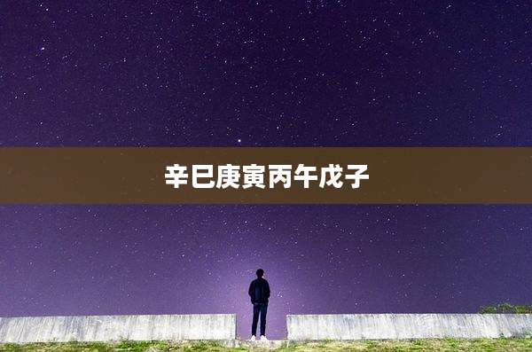 辛巳庚寅丙午戊子