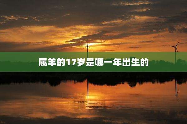 属羊的17岁是哪一年出生的